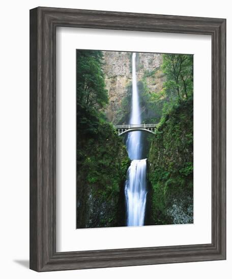 View of Multnomah Falls in Columbia Gorge, Oregon, USA-Walter Bibikow-Framed Photographic Print