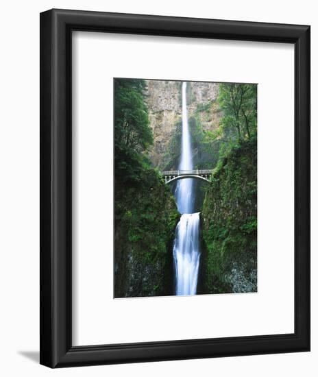 View of Multnomah Falls in Columbia Gorge, Oregon, USA-Walter Bibikow-Framed Photographic Print