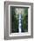 View of Multnomah Falls in Columbia Gorge, Oregon, USA-Walter Bibikow-Framed Photographic Print