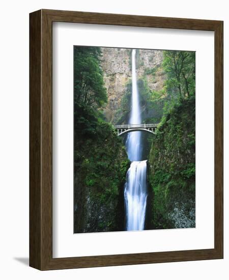 View of Multnomah Falls in Columbia Gorge, Oregon, USA-Walter Bibikow-Framed Photographic Print