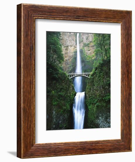 View of Multnomah Falls in Columbia Gorge, Oregon, USA-Walter Bibikow-Framed Photographic Print