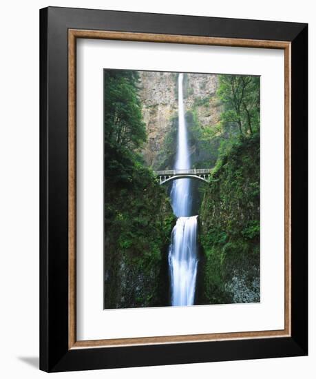 View of Multnomah Falls in Columbia Gorge, Oregon, USA-Walter Bibikow-Framed Photographic Print