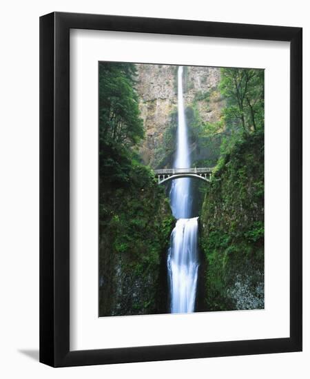 View of Multnomah Falls in Columbia Gorge, Oregon, USA-Walter Bibikow-Framed Photographic Print