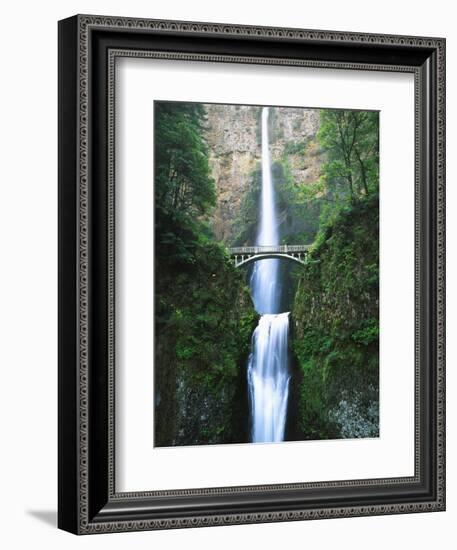 View of Multnomah Falls in Columbia Gorge, Oregon, USA-Walter Bibikow-Framed Photographic Print