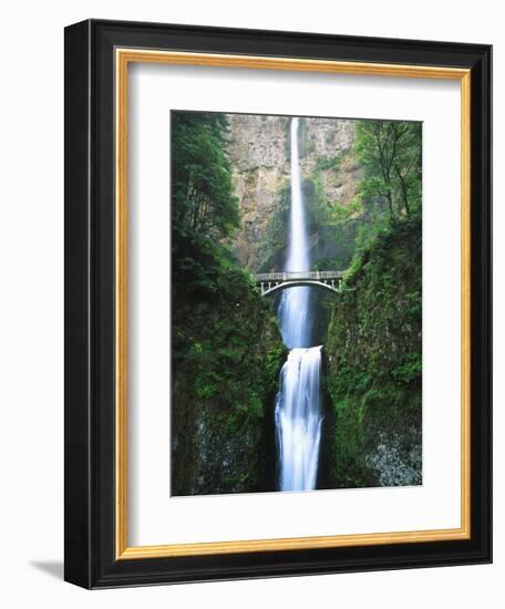 View of Multnomah Falls in Columbia Gorge, Oregon, USA-Walter Bibikow-Framed Photographic Print
