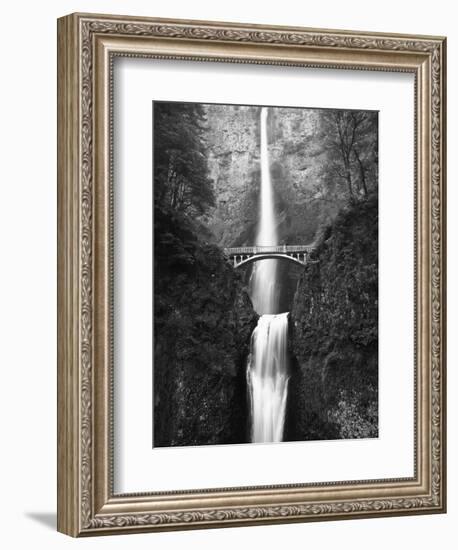 View of Multnomah Falls in Columbia Gorge, Oregon, USA-Walter Bibikow-Framed Photographic Print