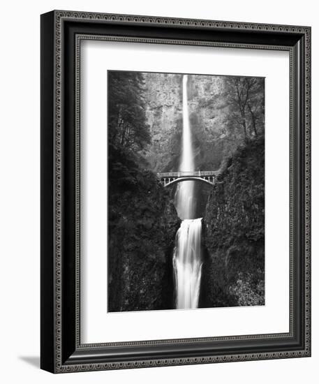 View of Multnomah Falls in Columbia Gorge, Oregon, USA-Walter Bibikow-Framed Photographic Print