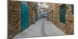 Photographic Print