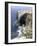 View of Natural Bridge and Boat, Blue Grotto, Malta-Peter Thompson-Framed Photographic Print