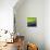 View of Nature 3-Hilary Winfield-Giclee Print displayed on a wall