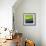 View of Nature 3-Hilary Winfield-Framed Giclee Print displayed on a wall