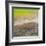 View of Nature 6-Hilary Winfield-Framed Giclee Print