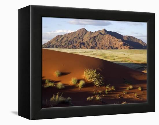 View of Naukluft Mountains from Elim Dune Near Sesriem in Namib-Naukluft National Park, Namibia-Julian Love-Framed Premier Image Canvas