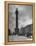 View of Nelson's Pillar in Dublin-Hans Wild-Framed Premier Image Canvas