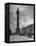 View of Nelson's Pillar in Dublin-Hans Wild-Framed Premier Image Canvas