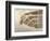 View of New Amsterdam, Costello Plan, 1660-Jacques Cortelyou-Framed Giclee Print