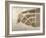 View of New Amsterdam, Costello Plan, 1660-Jacques Cortelyou-Framed Giclee Print