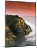 View of North Head Lighthouse, Oregon, USA-Stuart Westmorland-Mounted Photographic Print