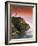 View of North Head Lighthouse, Oregon, USA-Stuart Westmorland-Framed Photographic Print