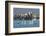 View of Old Town and Bay-Stuart Black-Framed Photographic Print