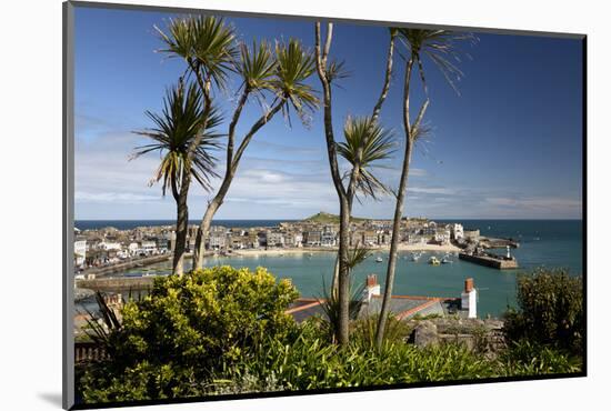 View of Old Town and Harbour with Smeatons Pier Viewed from the Malakoff, St. Ives, Cornwall-Stuart Black-Mounted Photographic Print