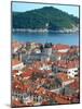 View of Old Town from City Wall, Dubrovnik, Croatia-Lisa S. Engelbrecht-Mounted Photographic Print