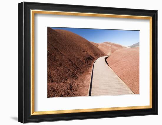 View of painted hills, John Day Fossil beds National Monument, Wheeler County, Oregon, USA-Panoramic Images-Framed Photographic Print