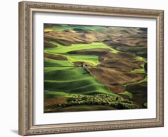 View of Palouse Farm Country Cultivation Patterns, Washington, USA-Dennis Flaherty-Framed Photographic Print