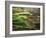 View of Palouse Farm Country Cultivation Patterns, Washington, USA-Dennis Flaherty-Framed Photographic Print