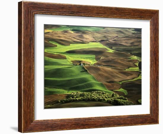 View of Palouse Farm Country Cultivation Patterns, Washington, USA-Dennis Flaherty-Framed Photographic Print