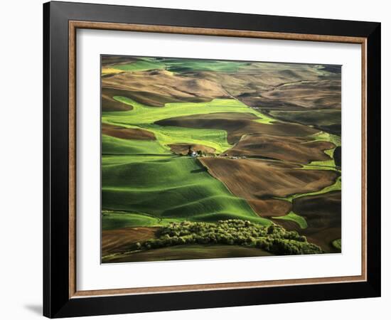 View of Palouse Farm Country Cultivation Patterns, Washington, USA-Dennis Flaherty-Framed Photographic Print