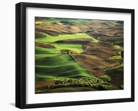 View of Palouse Farm Country Cultivation Patterns, Washington, USA-Dennis Flaherty-Framed Photographic Print