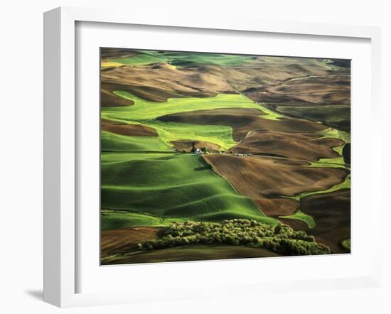 View of Palouse Farm Country Cultivation Patterns, Washington, USA-Dennis Flaherty-Framed Photographic Print