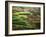 View of Palouse Farm Country Cultivation Patterns, Washington, USA-Dennis Flaherty-Framed Photographic Print