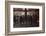 View of Pedestrians Reflected in the Glass of the Hotel York on 7th Ave, New York, New York, 1960-Walter Sanders-Framed Photographic Print