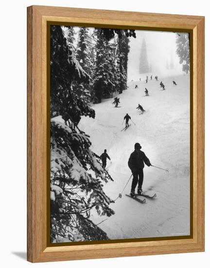 View of People Skiing at Steven's Pass-Ralph Crane-Framed Premier Image Canvas