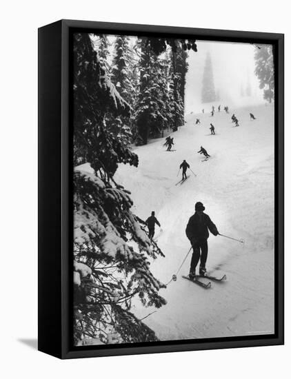 View of People Skiing at Steven's Pass-Ralph Crane-Framed Premier Image Canvas