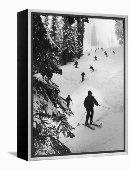 View of People Skiing at Steven's Pass-Ralph Crane-Framed Premier Image Canvas