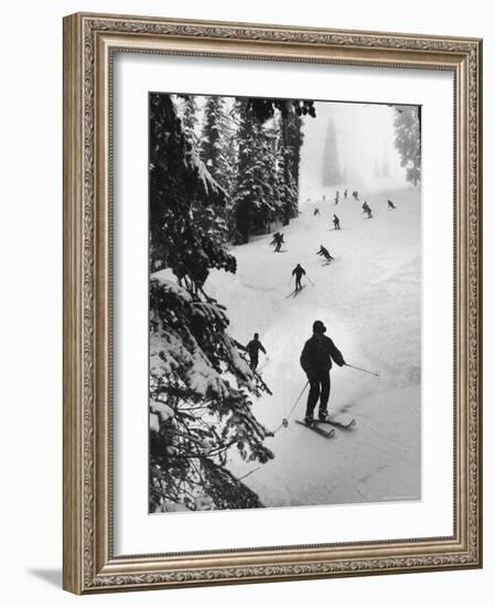 View of People Skiing at Steven's Pass-Ralph Crane-Framed Photographic Print