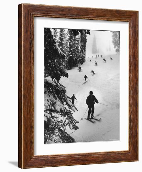 View of People Skiing at Steven's Pass-Ralph Crane-Framed Photographic Print