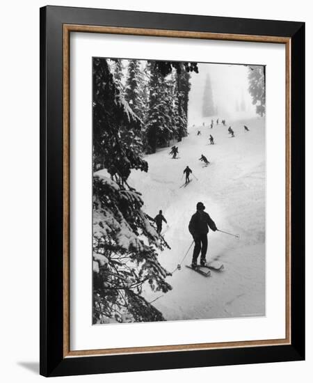 View of People Skiing at Steven's Pass-Ralph Crane-Framed Photographic Print