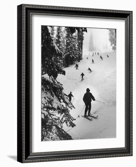 View of People Skiing at Steven's Pass-Ralph Crane-Framed Photographic Print