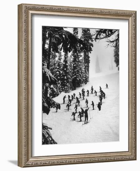 View of People Skiing at Steven's Pass-Ralph Crane-Framed Photographic Print