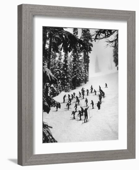 View of People Skiing at Steven's Pass-Ralph Crane-Framed Photographic Print