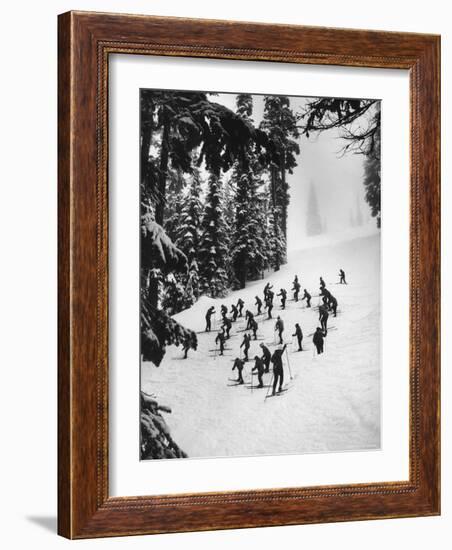 View of People Skiing at Steven's Pass-Ralph Crane-Framed Photographic Print