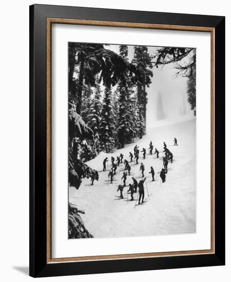 View of People Skiing at Steven's Pass-Ralph Crane-Framed Photographic Print