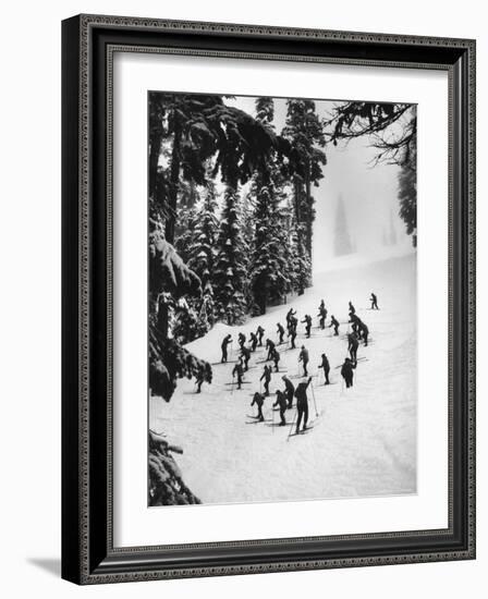 View of People Skiing at Steven's Pass-Ralph Crane-Framed Photographic Print