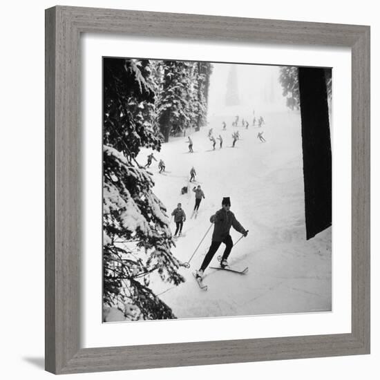 View of People Skiing at Steven's Pass-Ralph Crane-Framed Photographic Print