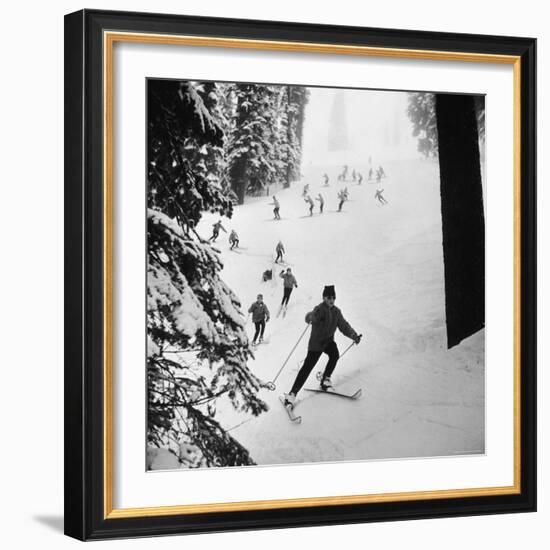 View of People Skiing at Steven's Pass-Ralph Crane-Framed Photographic Print