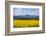 View of Perthshire Mountains and Rape field (Brassica napus) in foreground, Scotland, United Kingdo-John Guidi-Framed Photographic Print